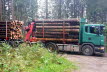 Holztransport
