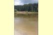 Der Moorbadesee