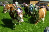 CFK-Mayrhofen-2013-G163
