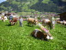 CFK-Mayrhofen-2013-G177