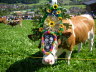 CFK-Mayrhofen-2013-G181