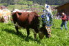 CFK-Mayrhofen-2013-G185