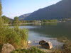Alpsee am Morgen