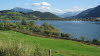 Nachmittags